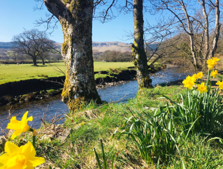 Bryn Gwyn Caravan Park